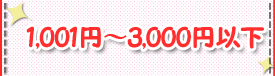 1,001～3,000円以下