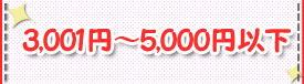 3,001～5,000円以下